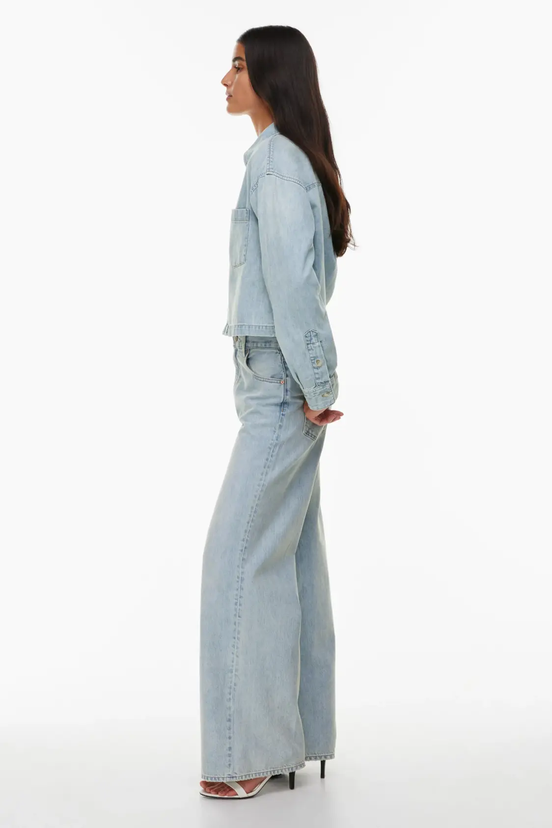 The '90s Lo-Rise Baggy Wide Jean - Image 4